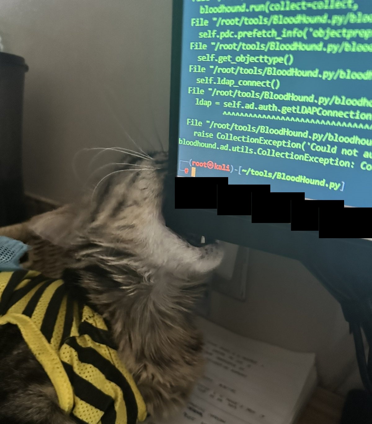 Domain Data Collection using Bloodhound – Project Puchufy